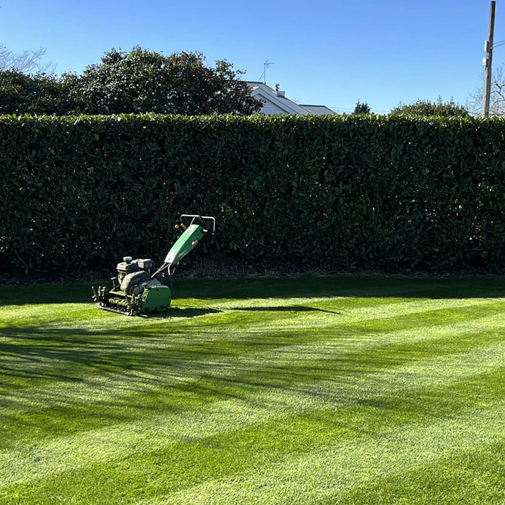 Image of a mower on a lawn in Masterton, freshly mown by Luxury Lawns Wairarapa