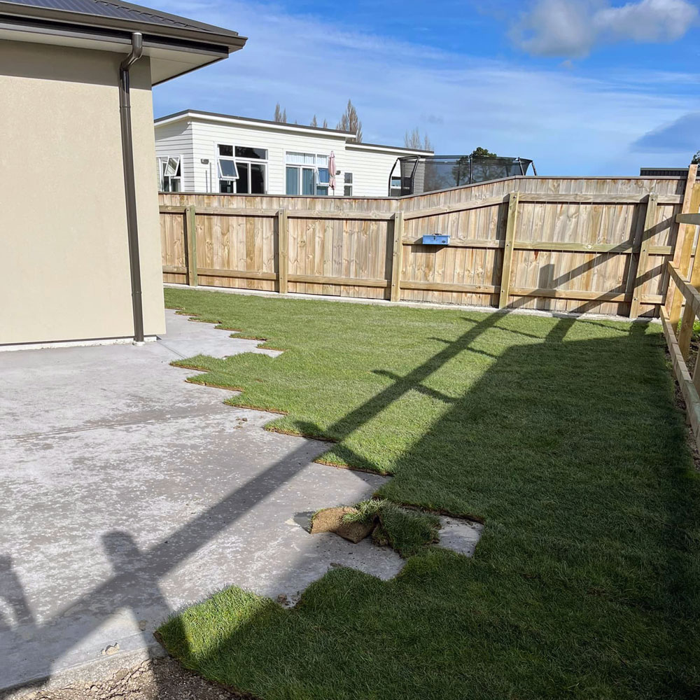 Ready Lawn at a property in Masterton by Luxury Lawns Wairarapa