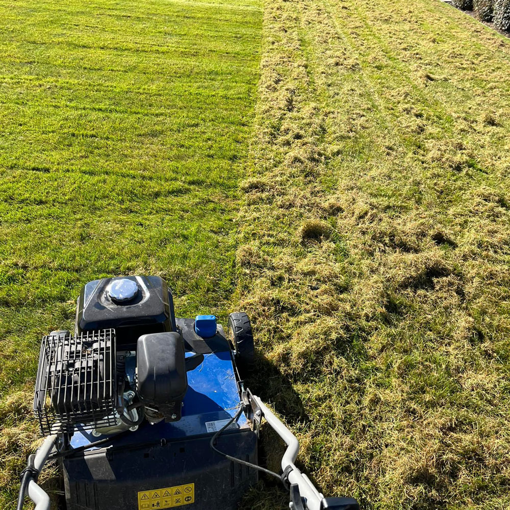 Image of scarifying / thatch removal