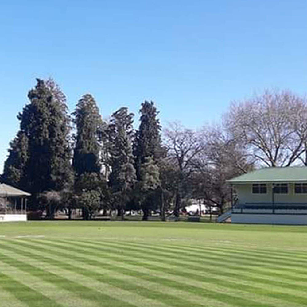 Image of Queen Elizabeth Park Cricket Field - sports surface example image