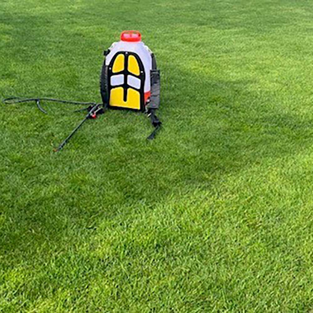 Lawn weed control luxury lawns Wairarapa